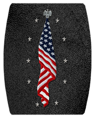 DAREC 421 SH BK Flag at Rest Shimmer Black